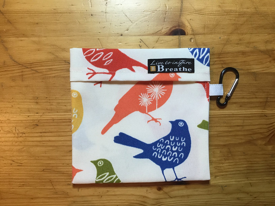 Multi Color Birds - Mask Carrying Case